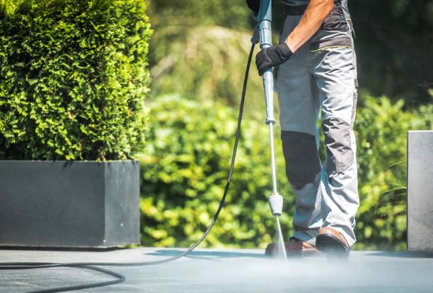 Best Graffiti Removal  in Homer City, PA