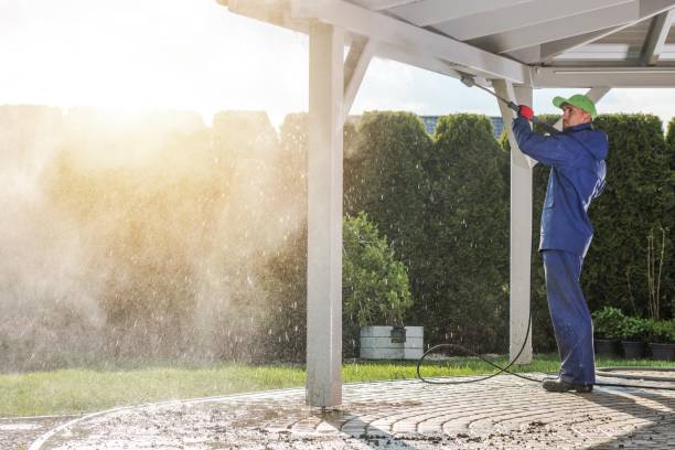 Best Roof Washing  in Homer City, PA