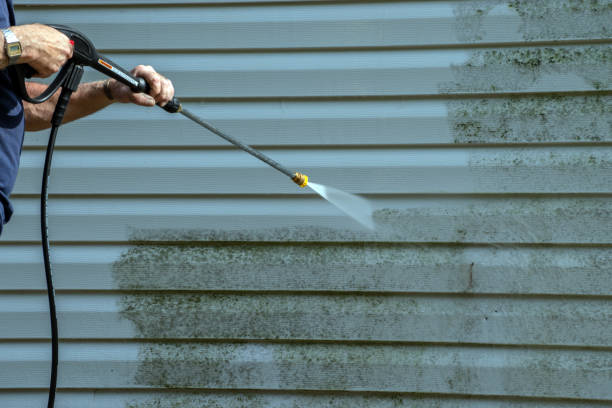 Best Solar Panel Cleaning  in Homer City, PA